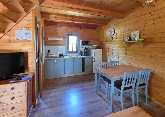 Amazing In With Wifi Mścice