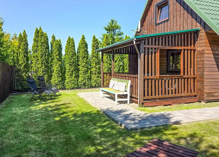 Amazing In With Wifi Mścice